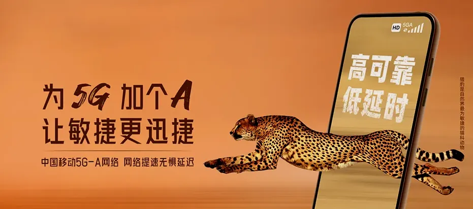 景县景县杜桥镇 移动宽带